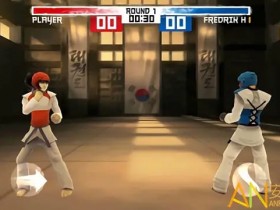 【扑克之星】大发娱乐跆拳道游戏全新上线:巅峰格斗,燃爆你的竞技灵魂