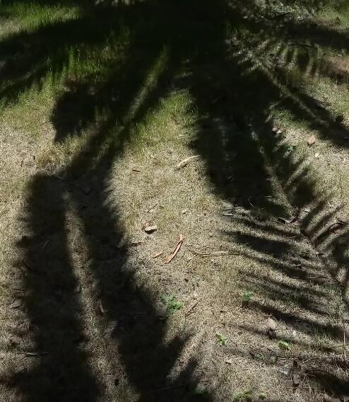 玛珥湖空荡荡