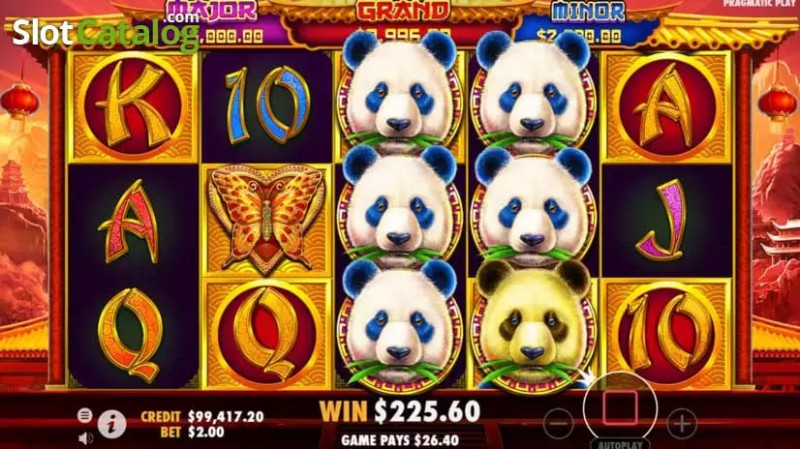 【扑克之星】熊猫财富2重磅上线大发娱乐平台