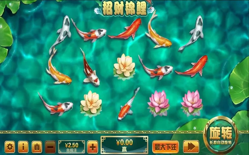 【扑克之星】大发娱乐全新力作 —— 招财锦鲤，带你畅游好运与财富